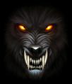 Werewolf's Avatar