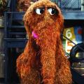 Mr Snuffleupaguss's Avatar